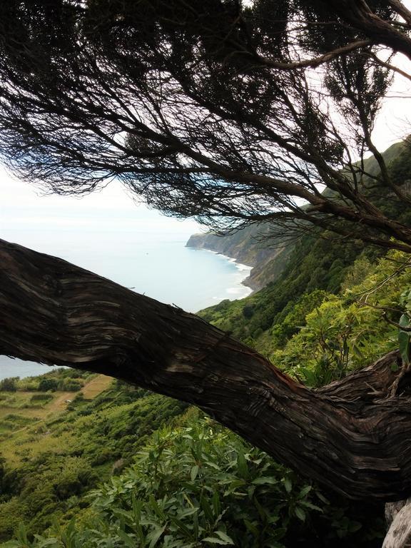 Praia do NorteHouse Andrade别墅 外观 照片